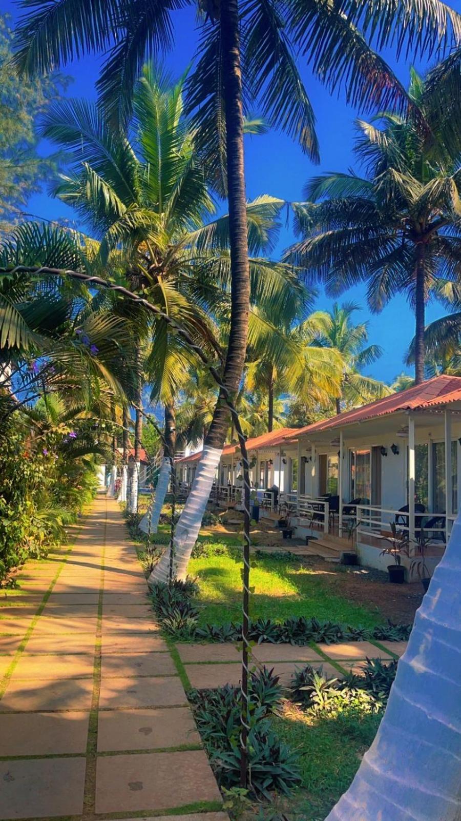 Arabian Sea Beach Resort Morjim Exterior foto